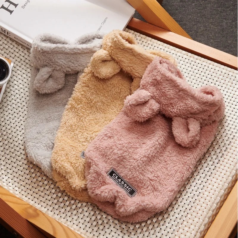Soft Teddy
