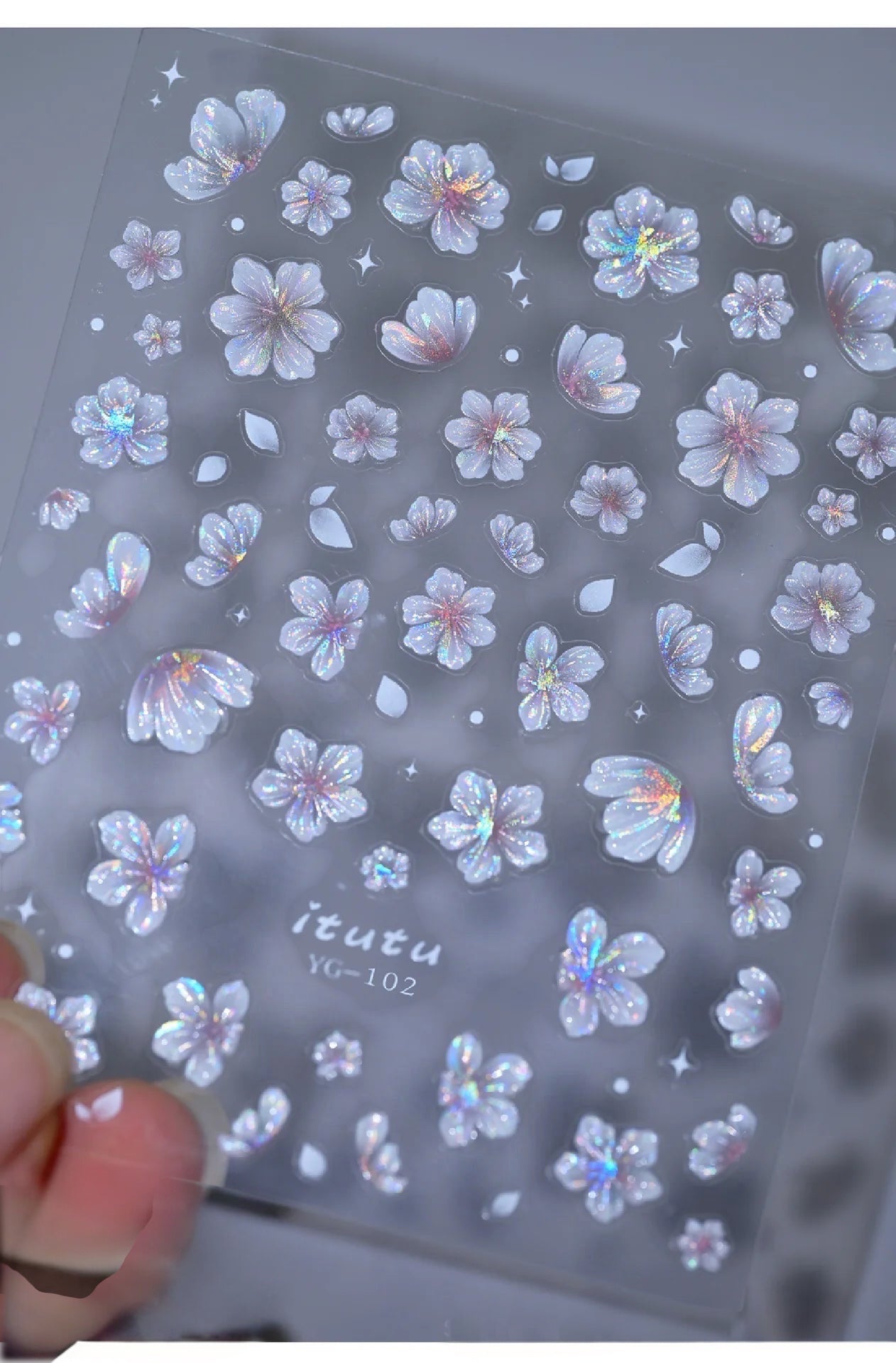 DaisyDreams