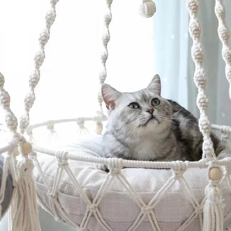 CozySwing